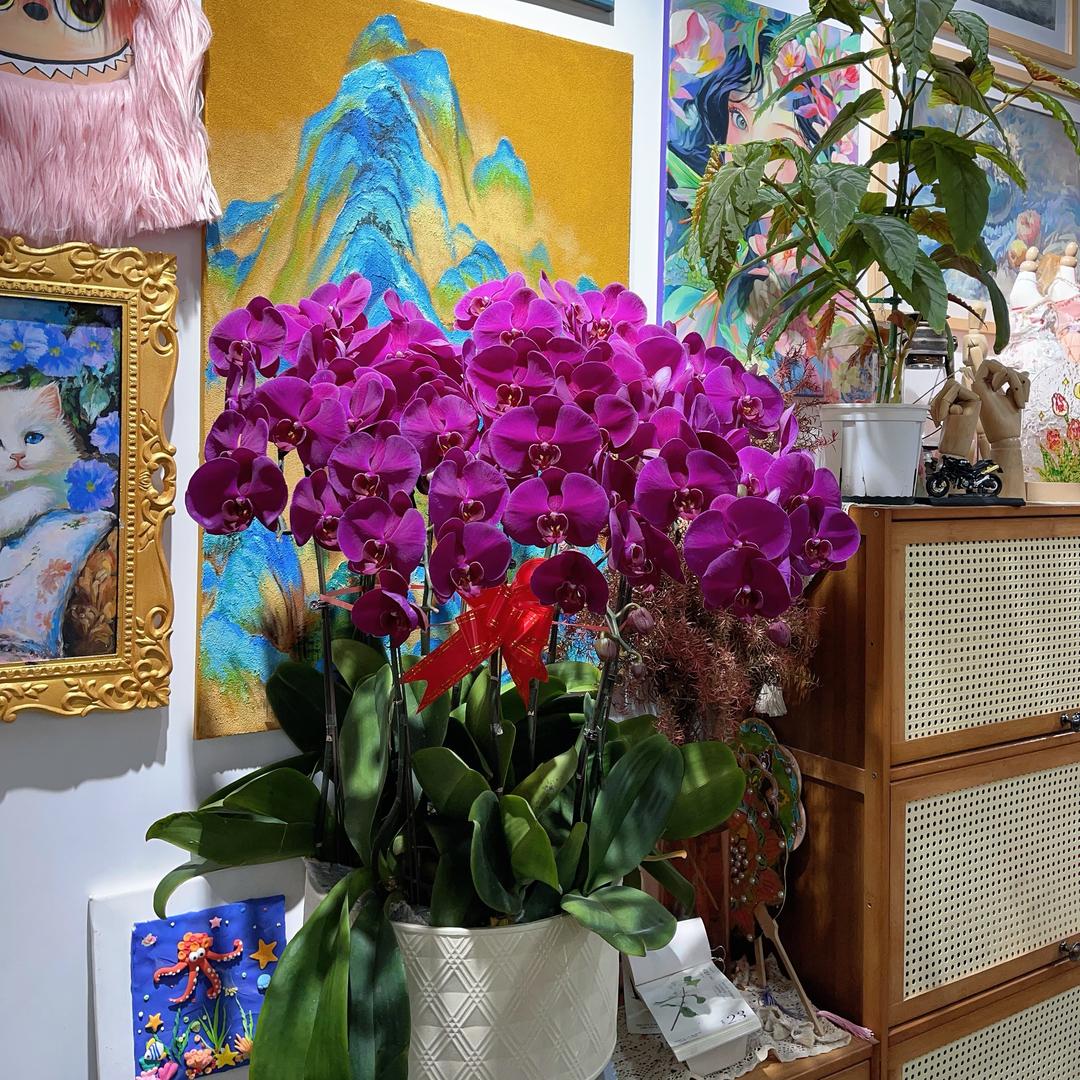 莫奈花园美术馆