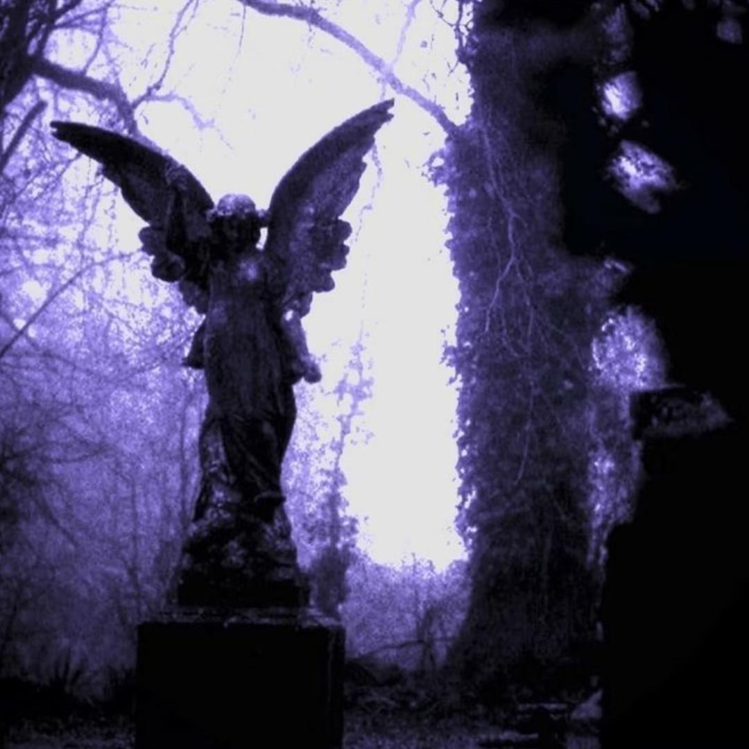 转生成为恶毒早八酱