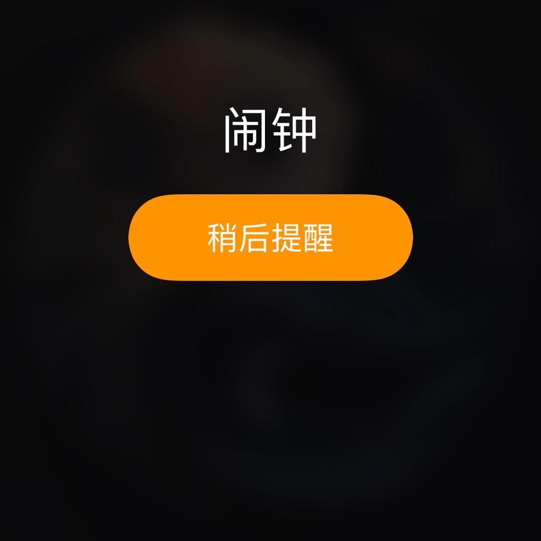 译者