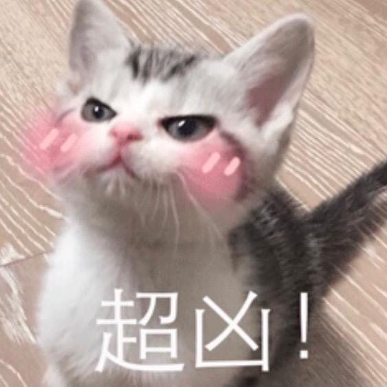 没头脑。