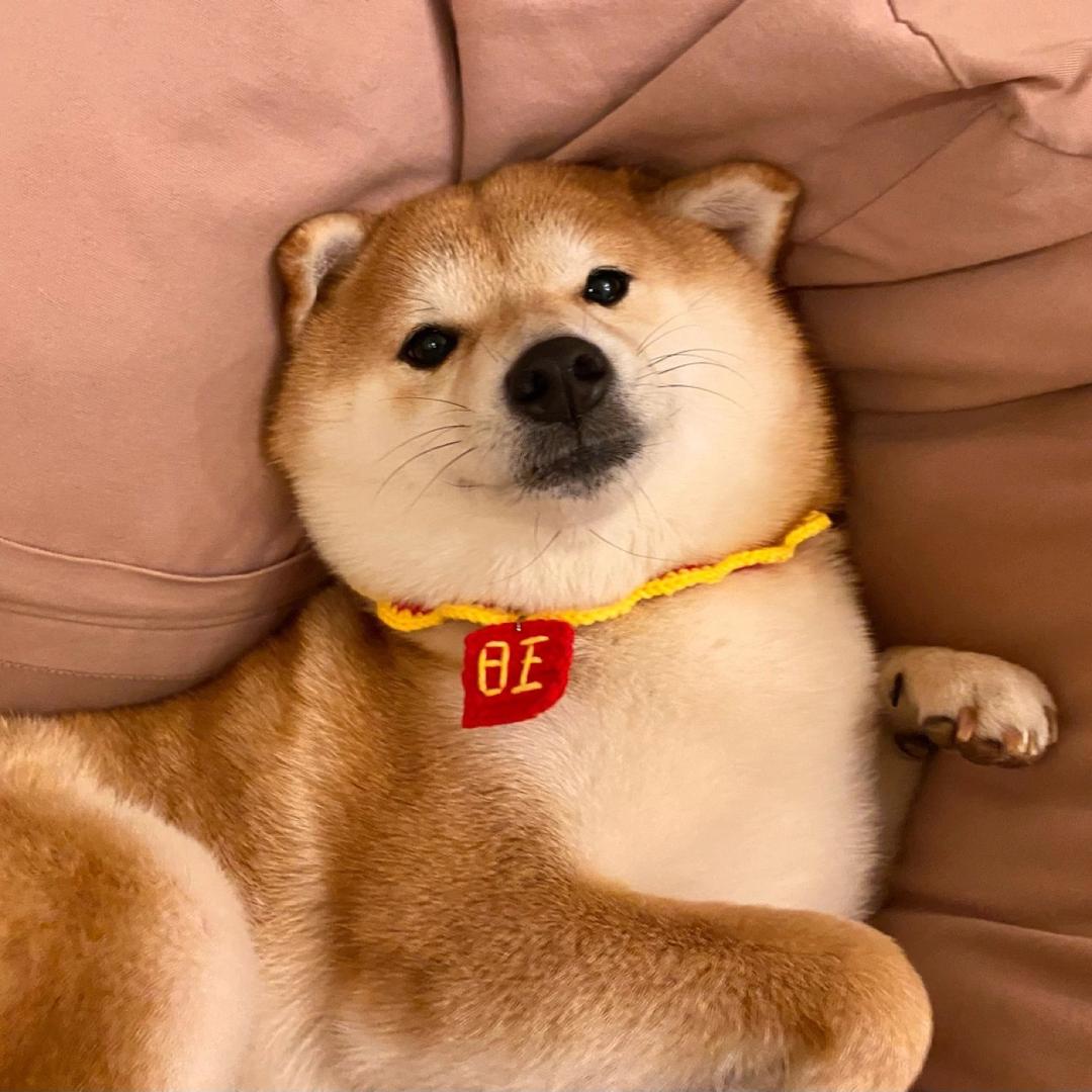 海上生明月