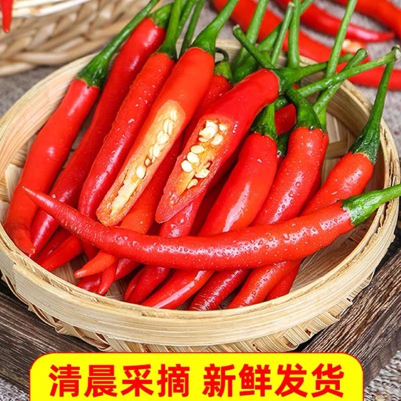 星遥供应链严选