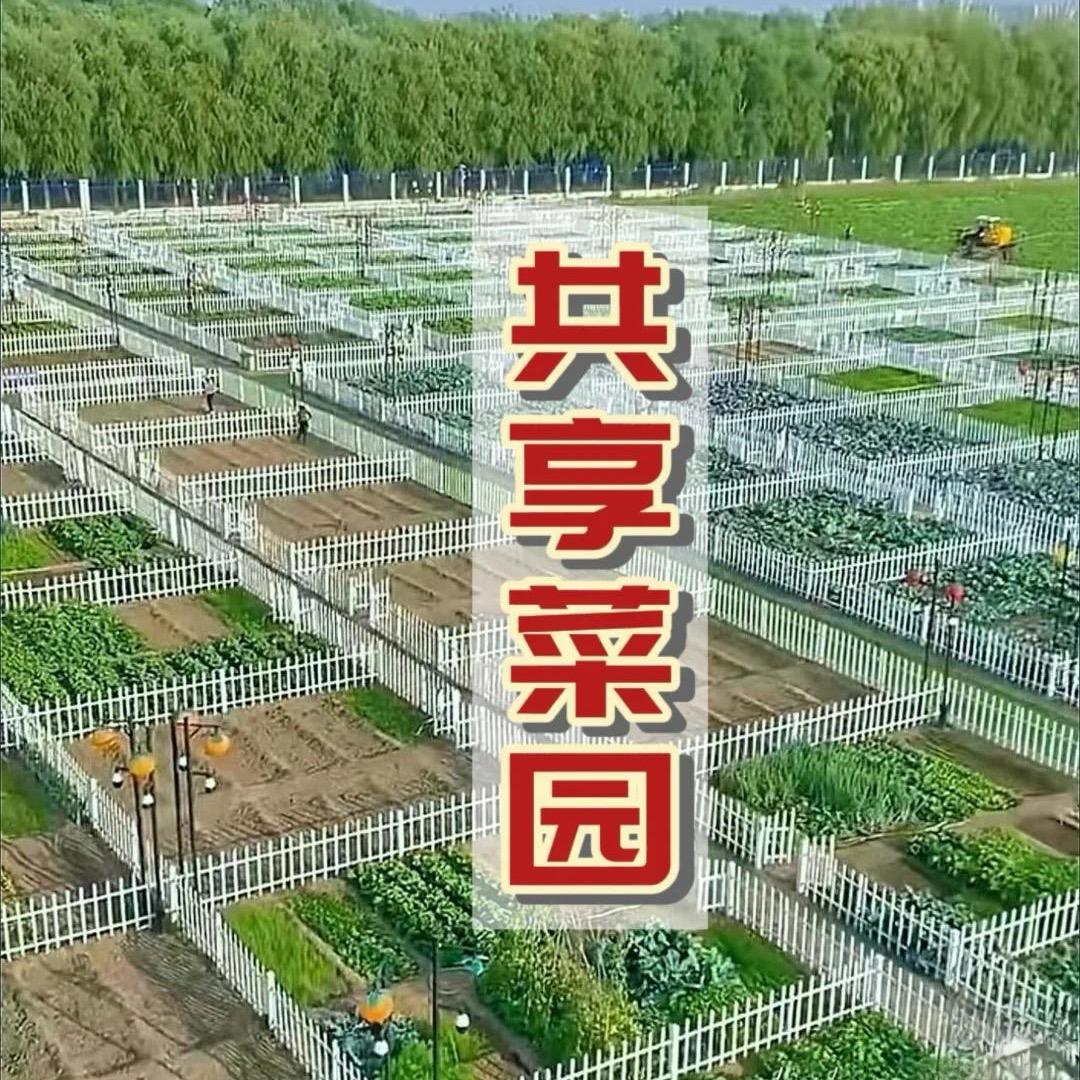 义乌共享菜园（峰哥）
