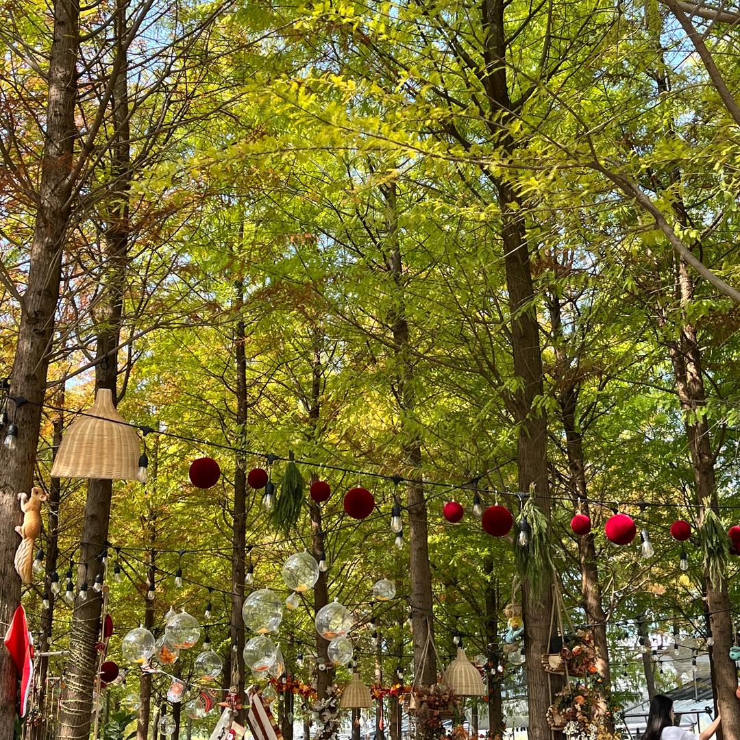 可可的吃喝日常