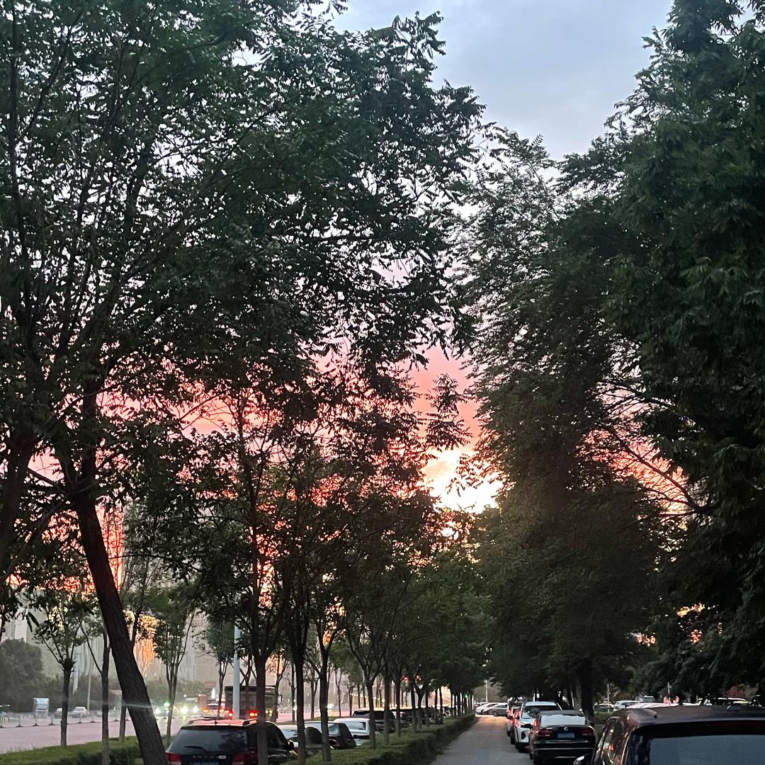 富裕县【树说·冒菜】