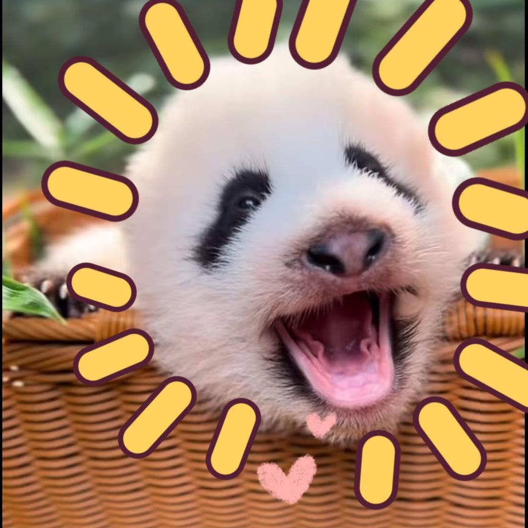 🌈小小緦🐼🌈