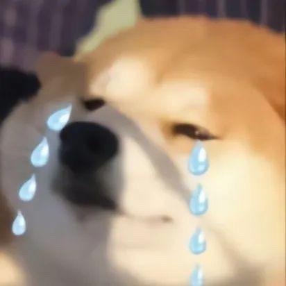 洛洛洛
