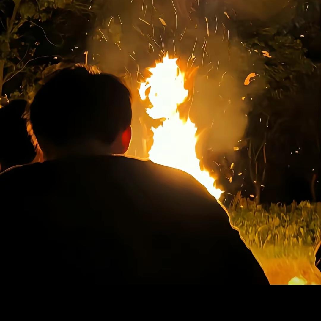 牛油果味的突破手