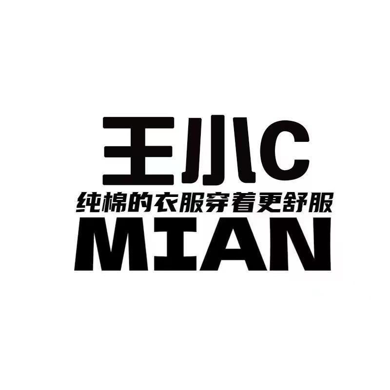 王小C99号童装【外贸店】