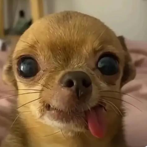 我是世界上最棒的小宝贝