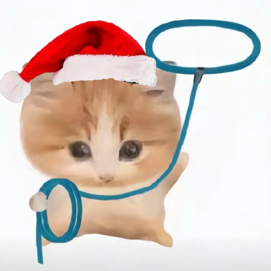 茉莉 （许愿四巡来杭州版）