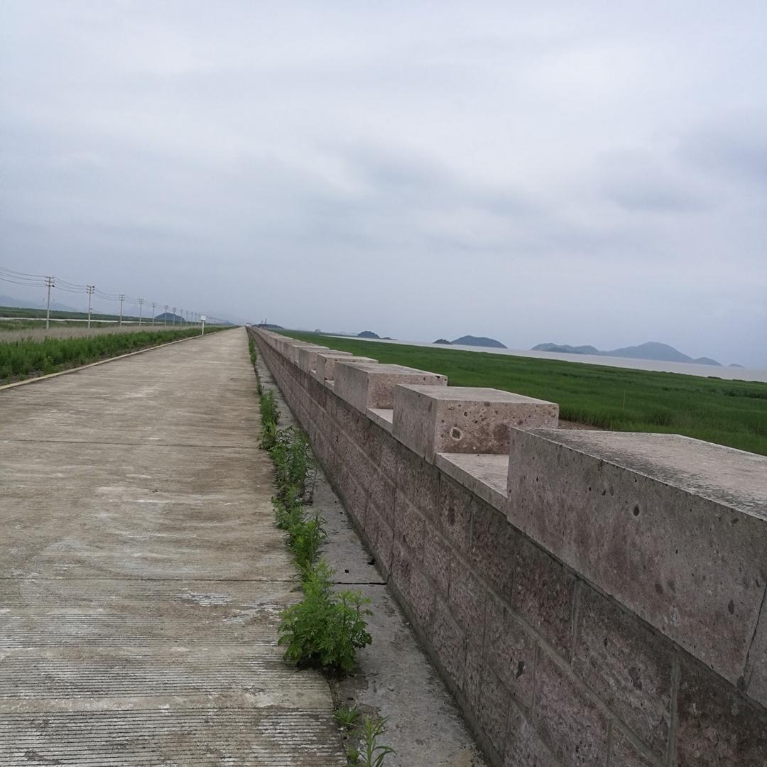 江南松