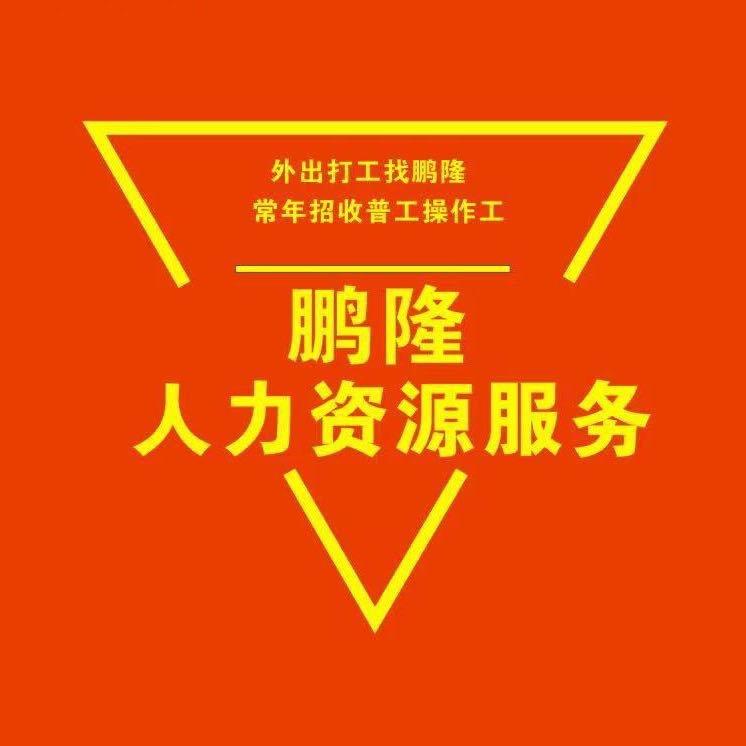 鹏隆人力资源有限公司