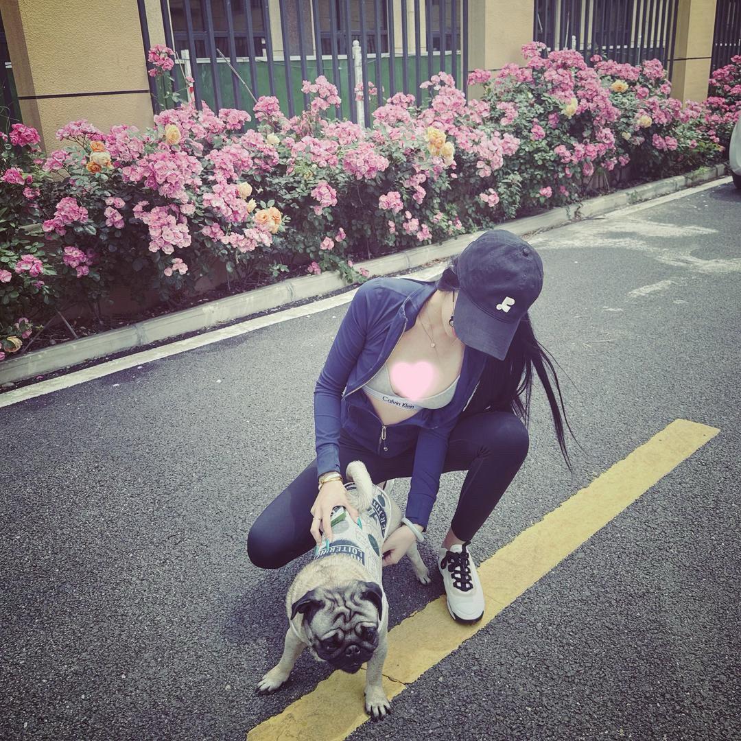 张智慧.