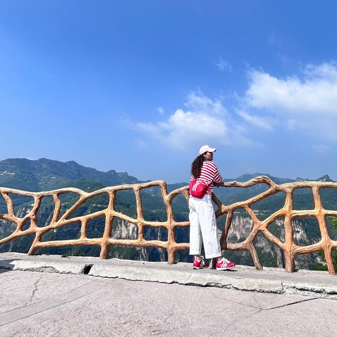 陈•胖子