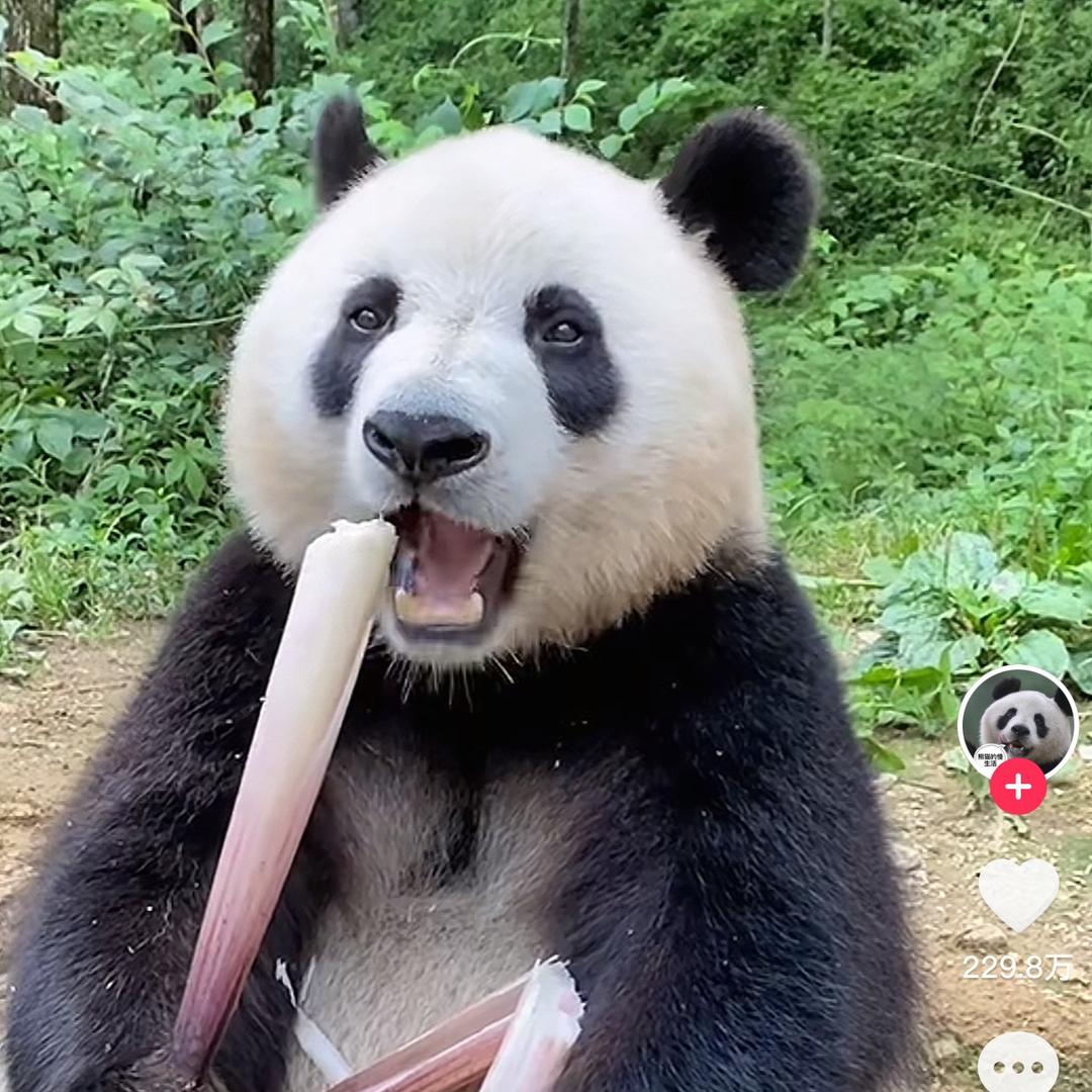 谢谢谢谢谢谢谢谢谢