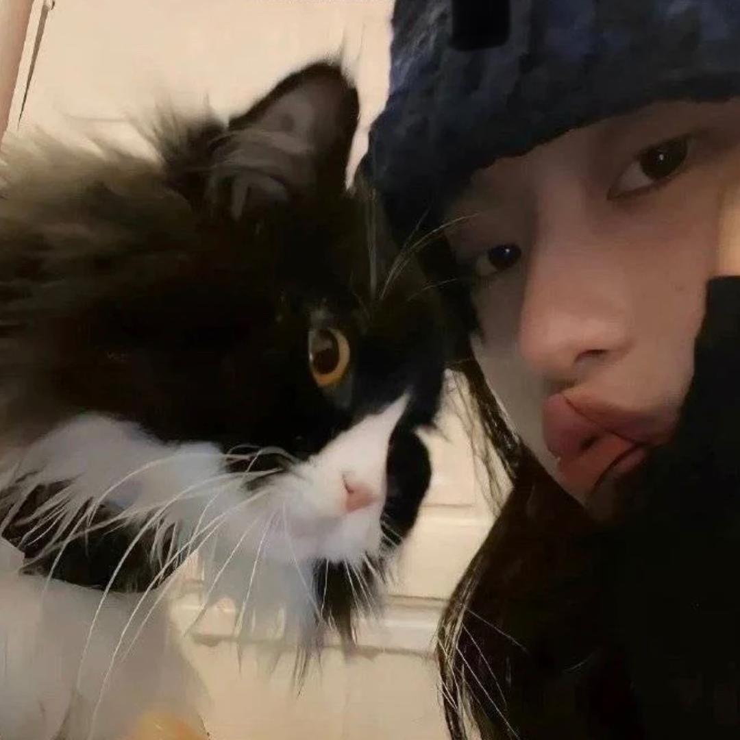 什么猫腻
