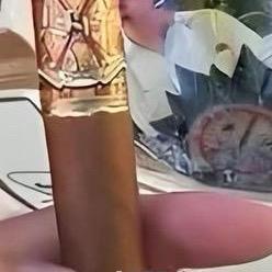 回茄