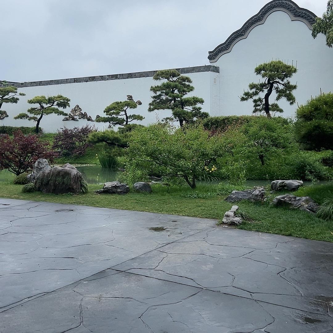 阿力