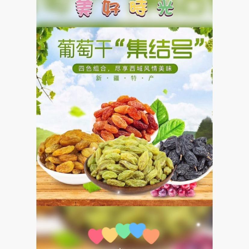 小馋猫