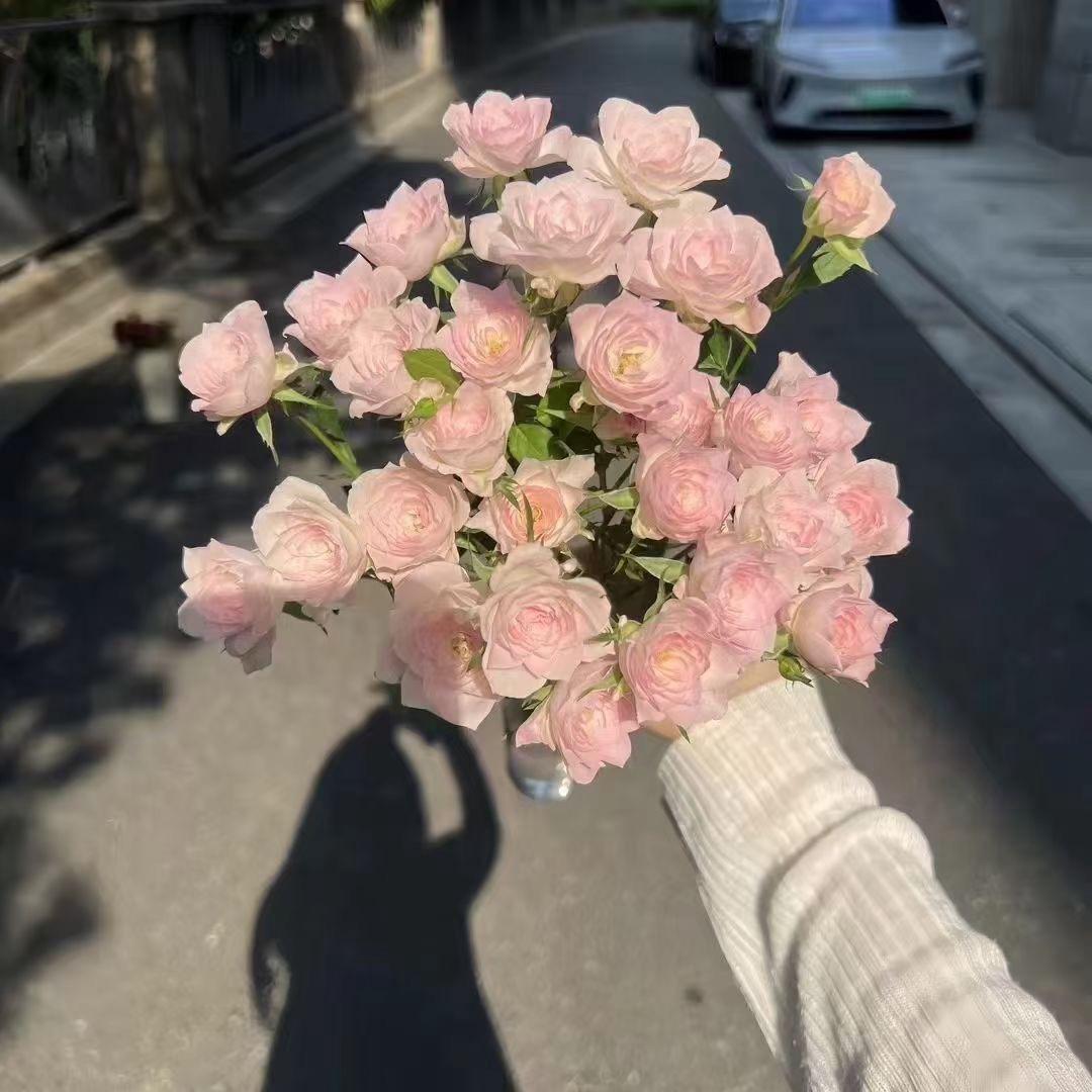 囍樂🎈