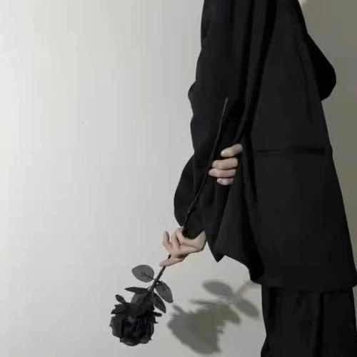 Theshy key