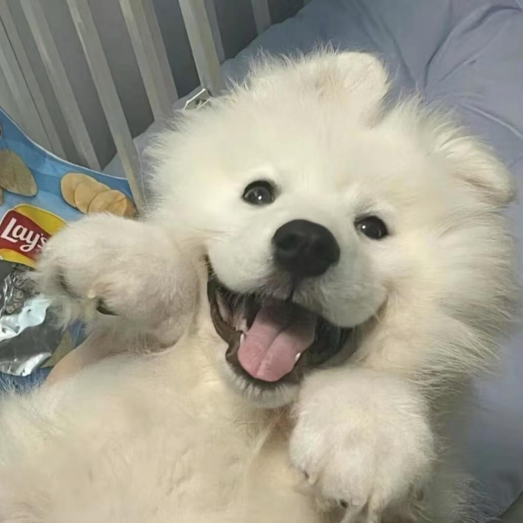 犯困蛋挞
