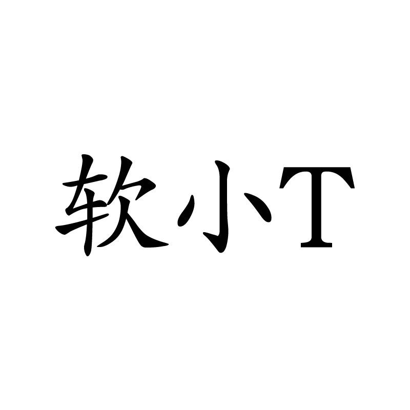 软小T