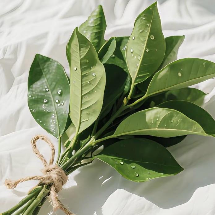 广汉移动的鸡尾酒和咖啡