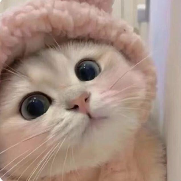 小静努力中（减肥版）