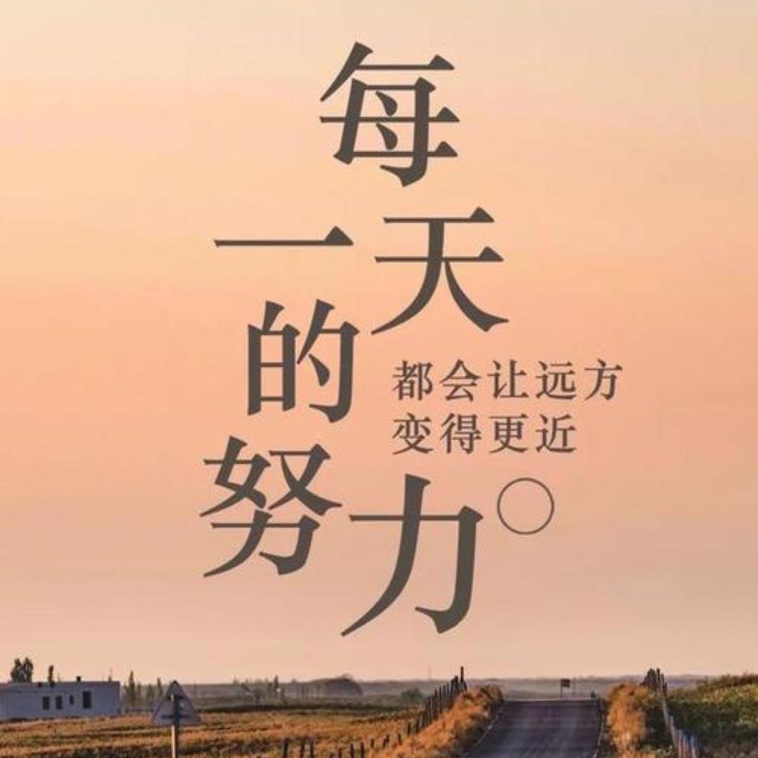 追梦小杨