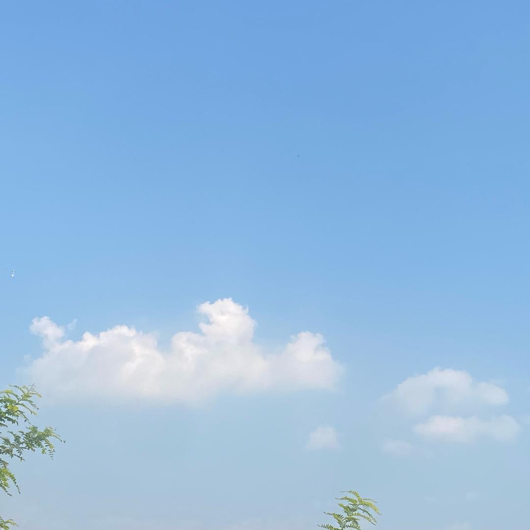 西湖公园