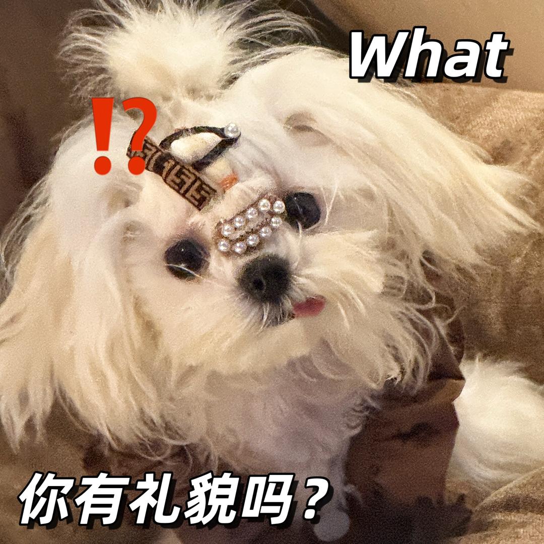 你最好给我耗子尾汁