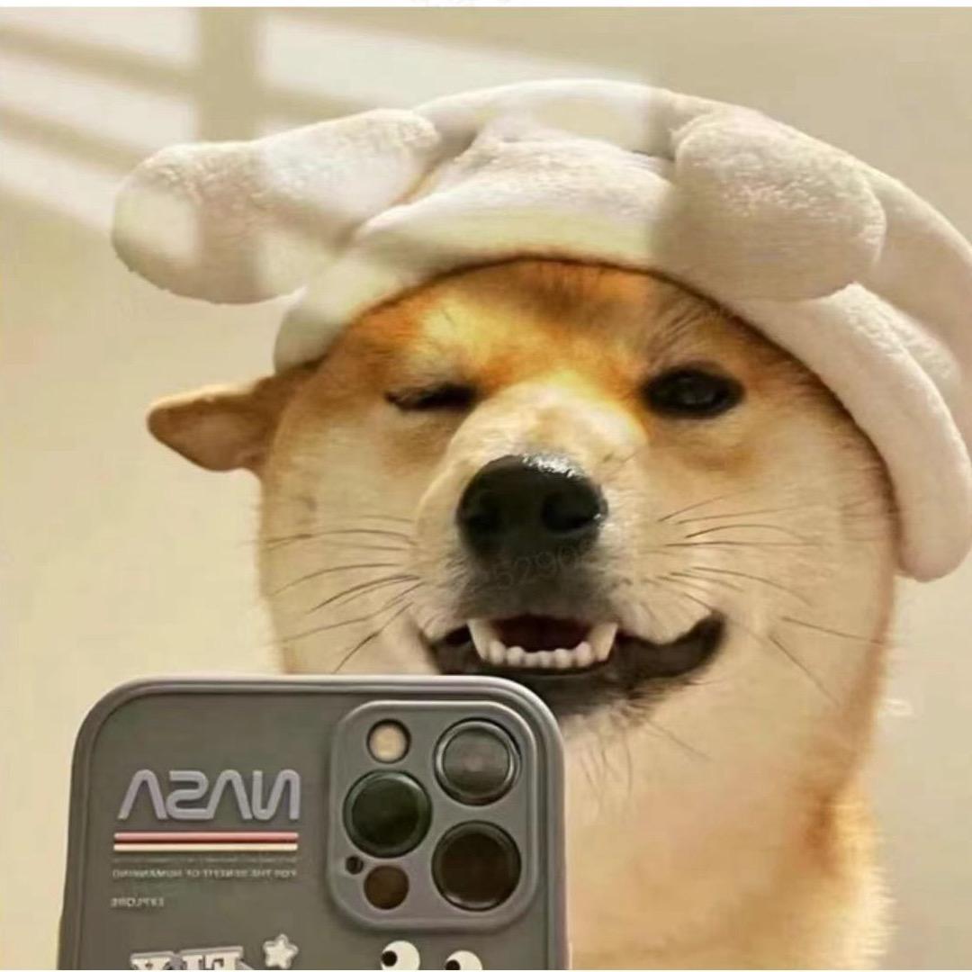 皮皮搞笑哥