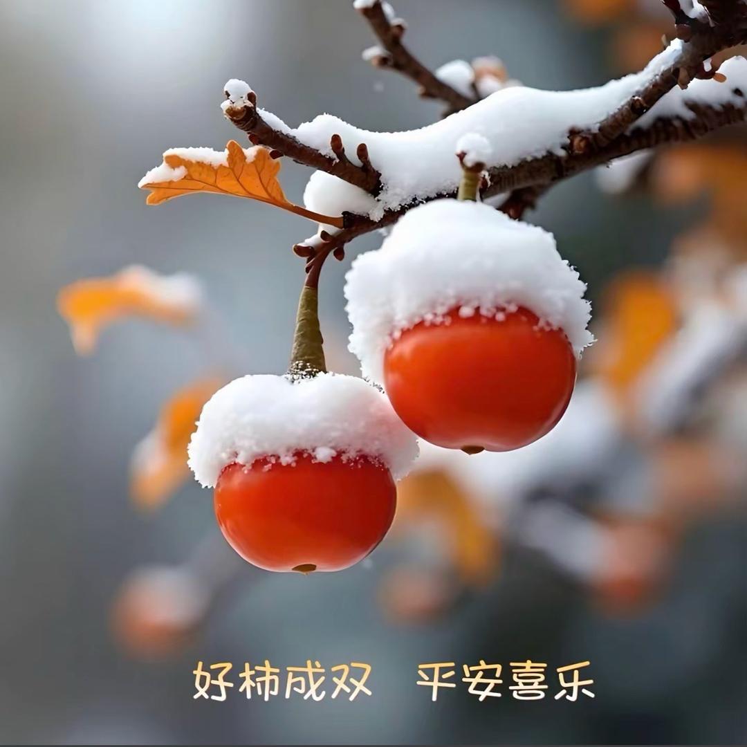 米✪ω✪乐