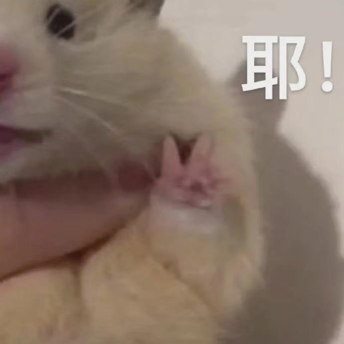 猫 ₃ 猫薯