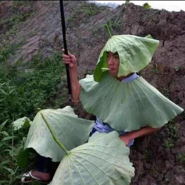 老黑,