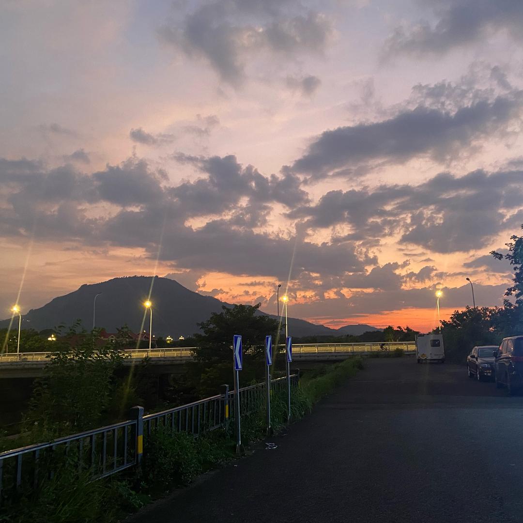 花开富贵_