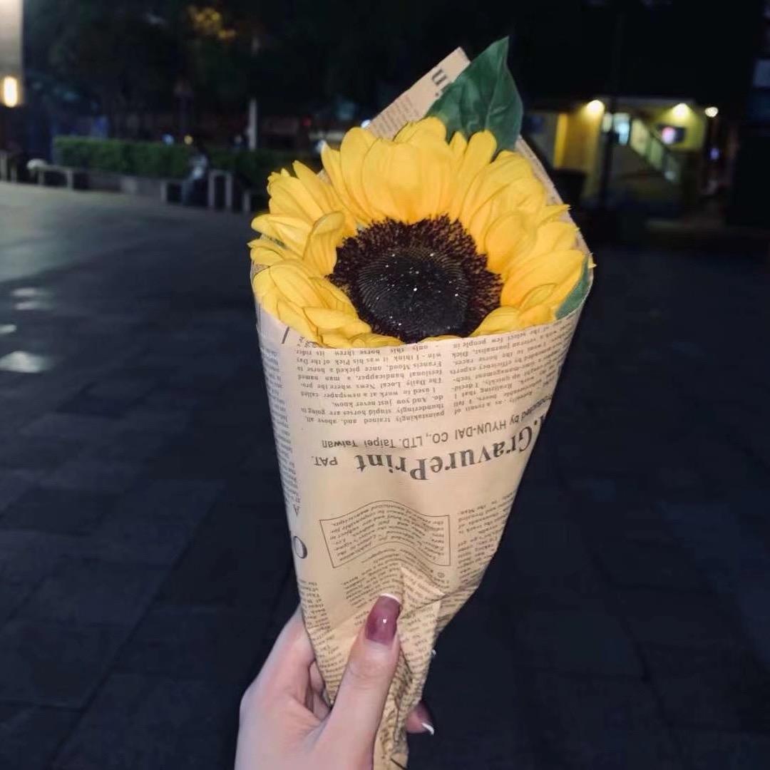 巷子里的喵.