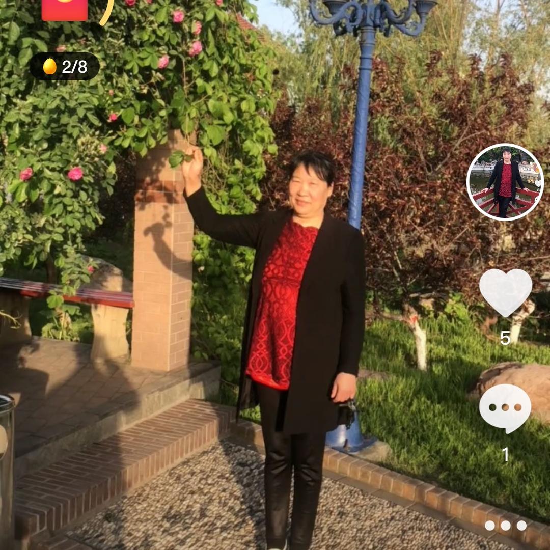 牡丹花