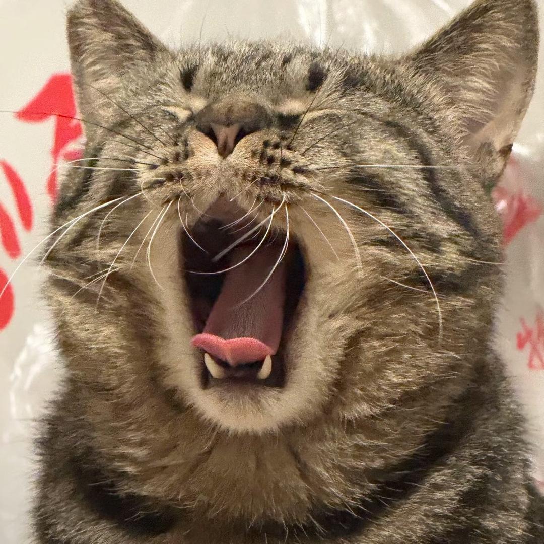 Ma