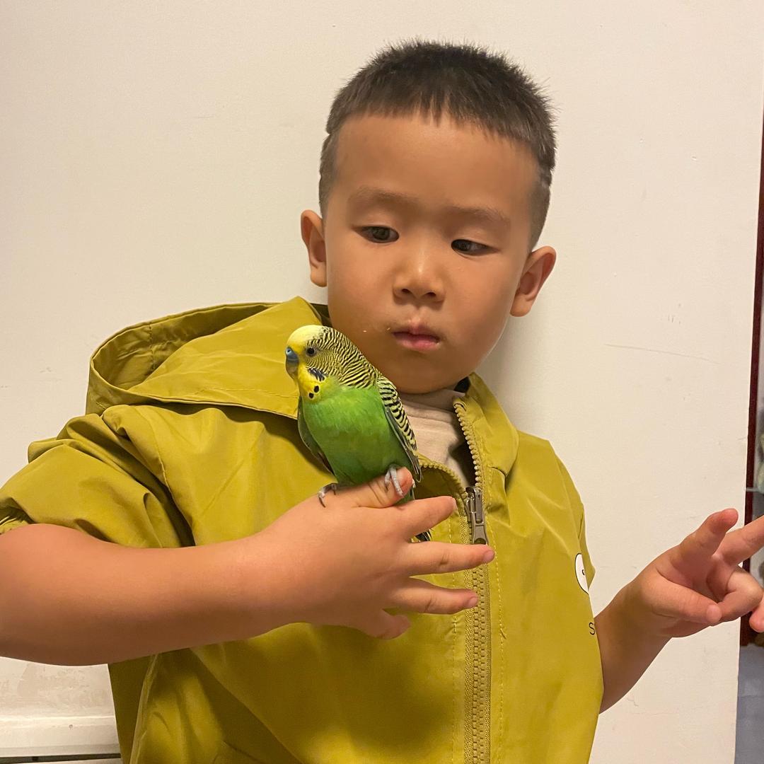 幸运草☘️