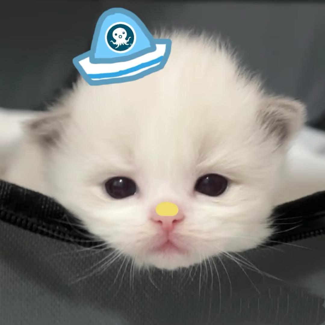 我糙世界怎么这么坏