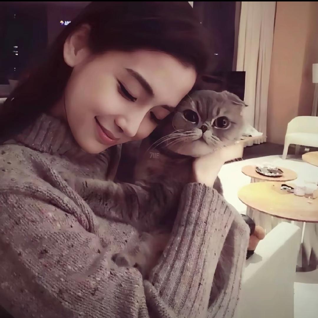 忧郁小猫