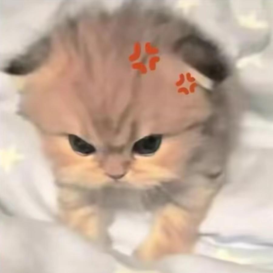 Ava思阳