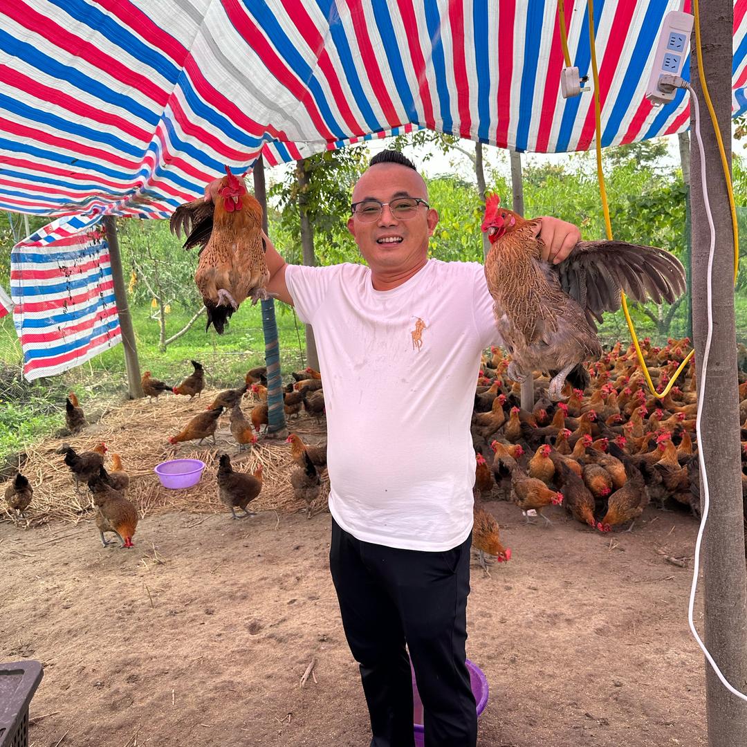 汪老大农庄土鸡