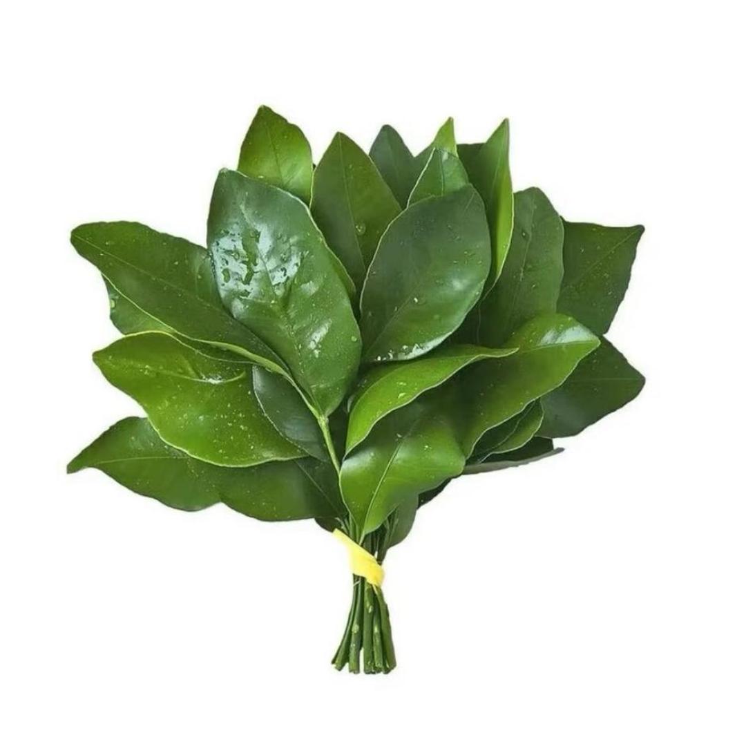 椰椰椰子