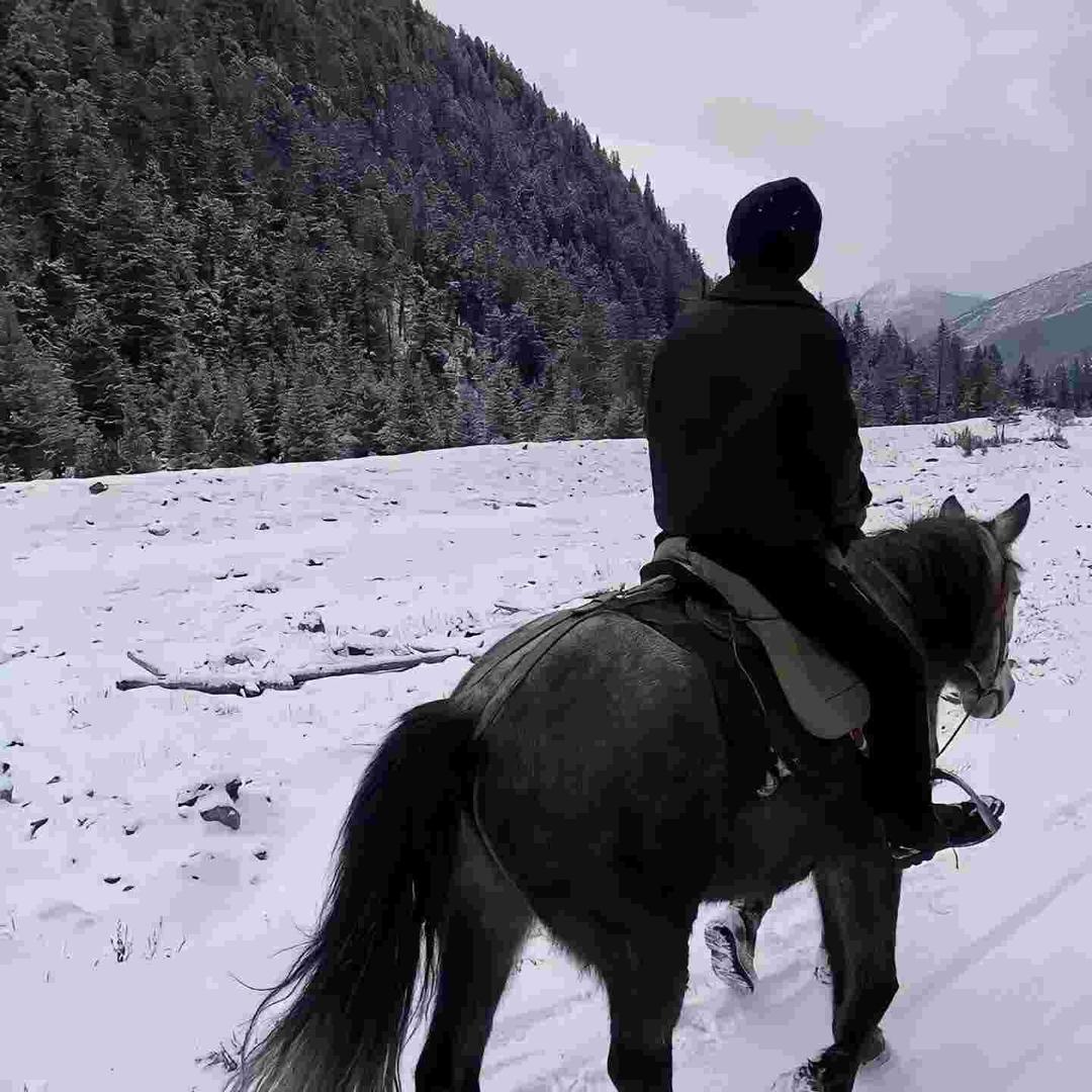 dilmurat_🕊️