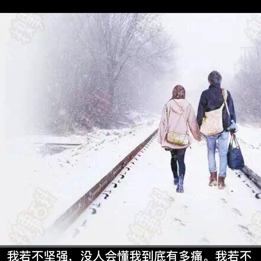 @光头哥