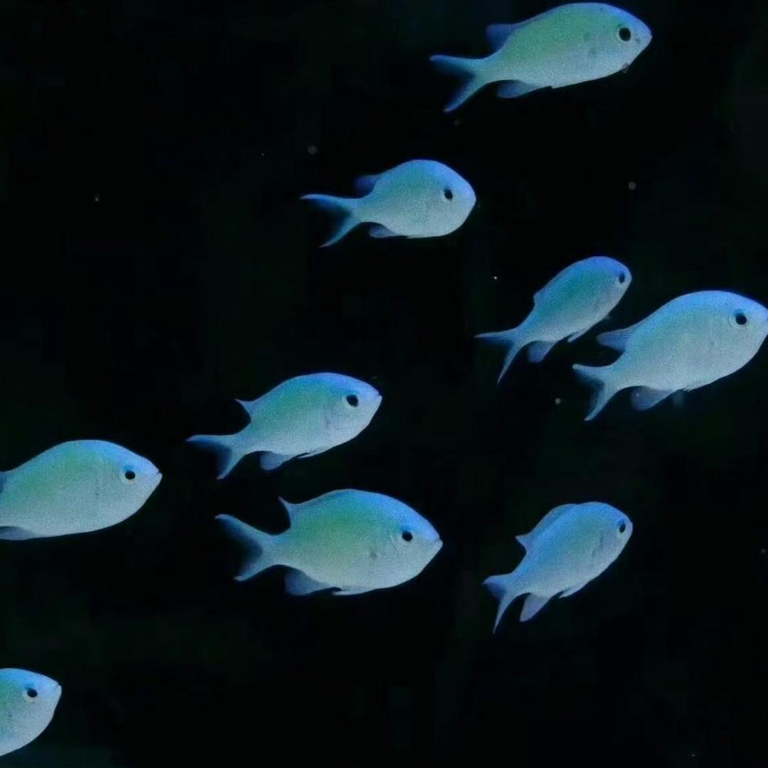 sinking